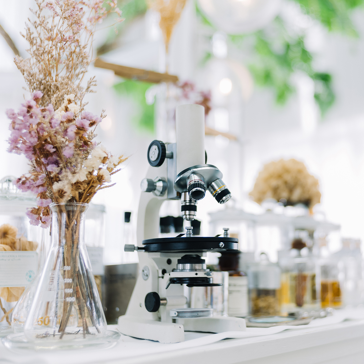 laboratorio galenico